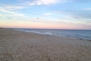 Morning at the Beach