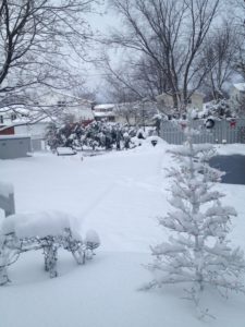 winter backyard with reindeer yard ornament covered by snow